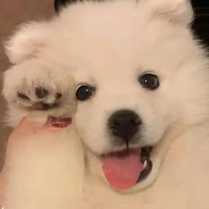 娇喘啊～你tm别㖭了h
