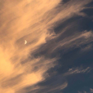 娇喘啊～你tm别㖭了h
